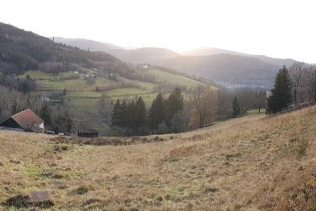 Gitel'Harmonie2 Fraize Exteriér fotografie